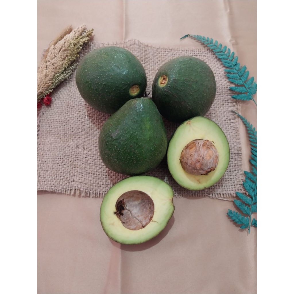 

Buah alpukat lokal termurah tua pohon siap matang per kg