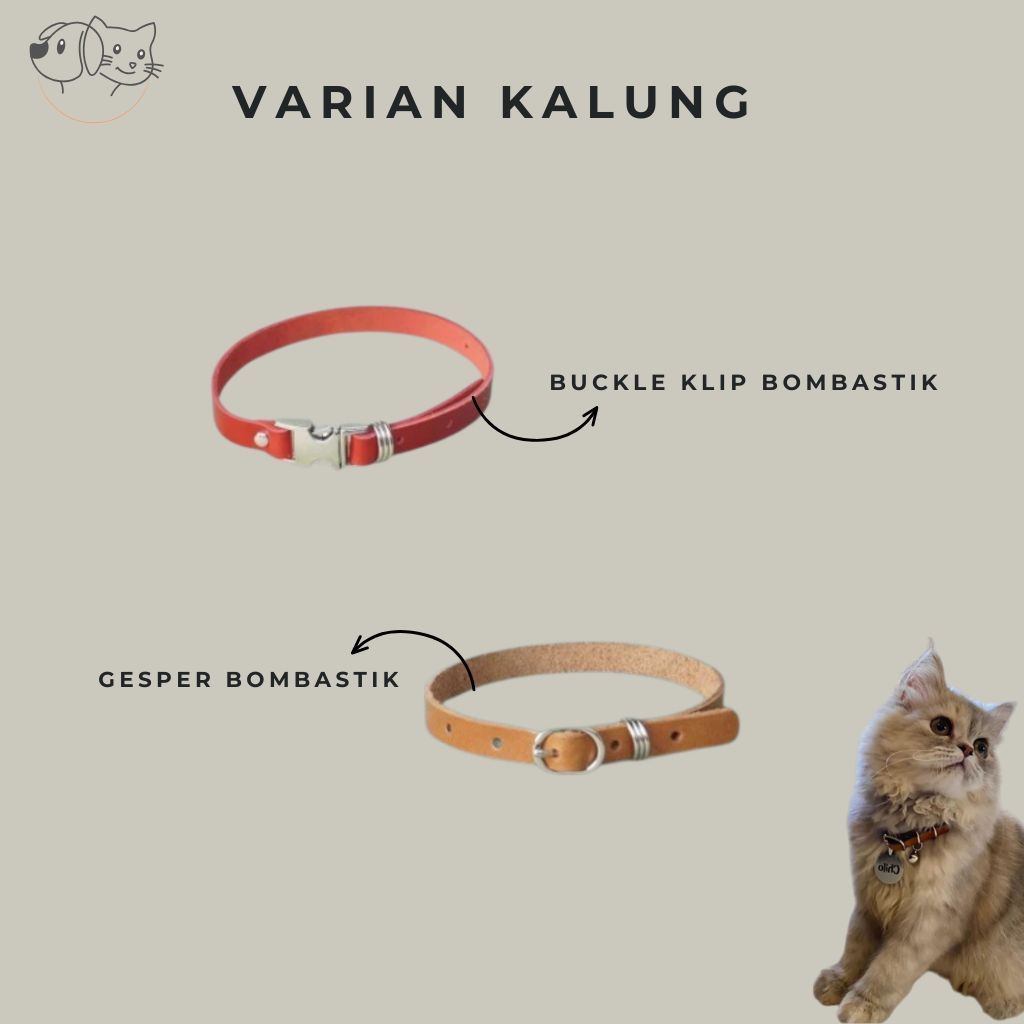 Bombastik kalung kucing kulit TANPA LIONTIN