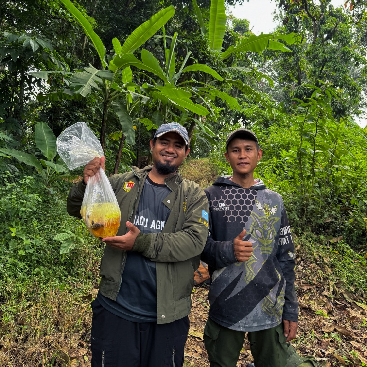 

Madu Liar Odeng Asli Murni 100% Tanpa Campuran Hutan Jawa Barat Alami Pure Natural Meningkatkan Daya Tahan Tubuh & Pengobatan Penyakit Pencernaan Serta Pernapasan Original Agmah Honey