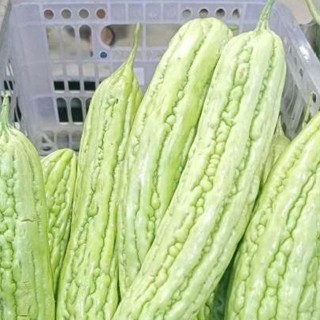 

Pare mentah segar dalam kemasan isi 2pcs fresh