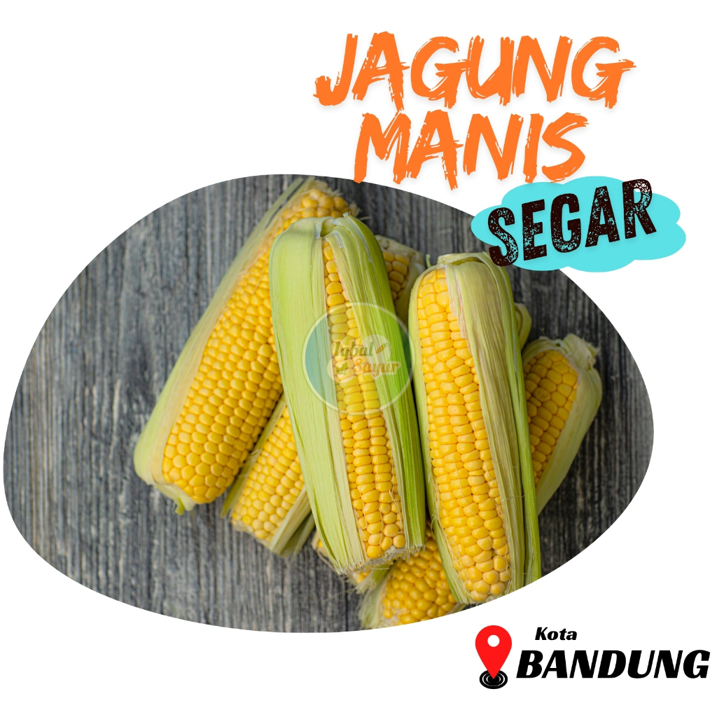 

Jagung Manis Segar Bandung