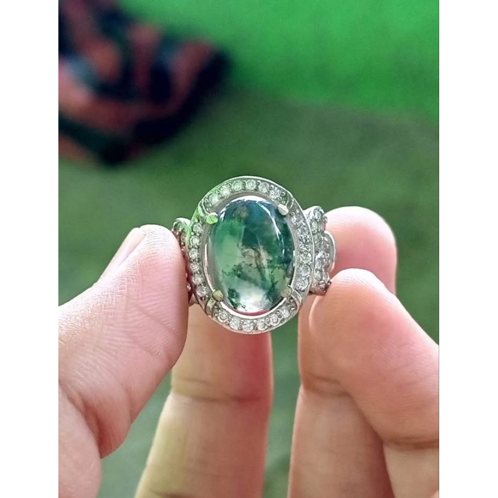 Lumut Suliki Kristal