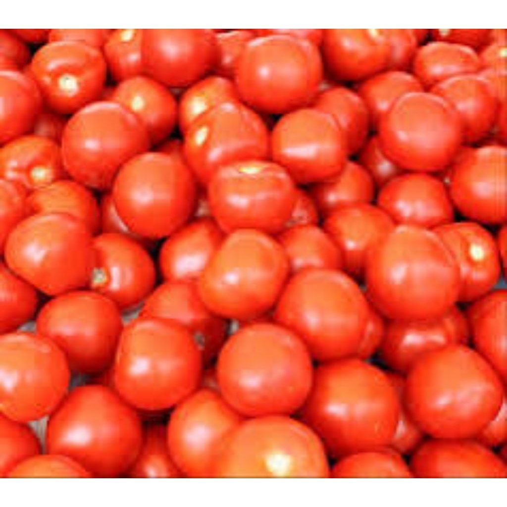 

tomat merah, tomat fresh, tomato, 100gram