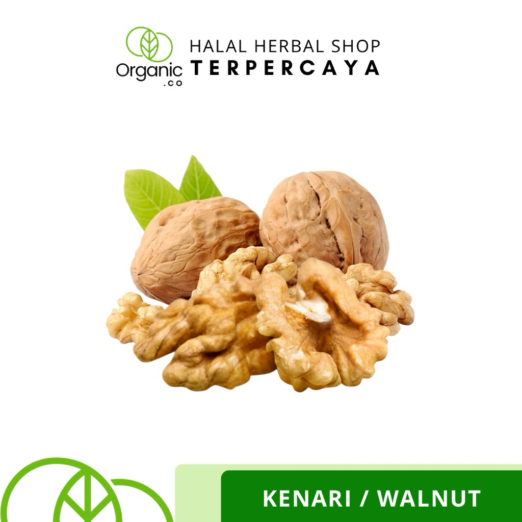 

Kacang Walnut Original Bitter Nuts 100 GR | Kacang Kenari Asli | Kacang Sumber Nutrisi