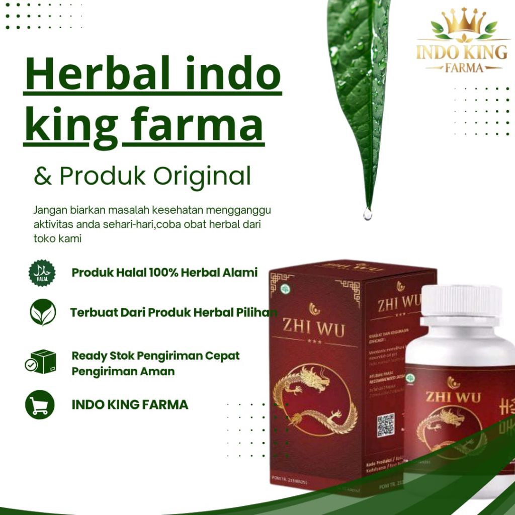 Zhi Wu Obat Asam Urat Rematik dan Syaraf Kejepit Asli Cina