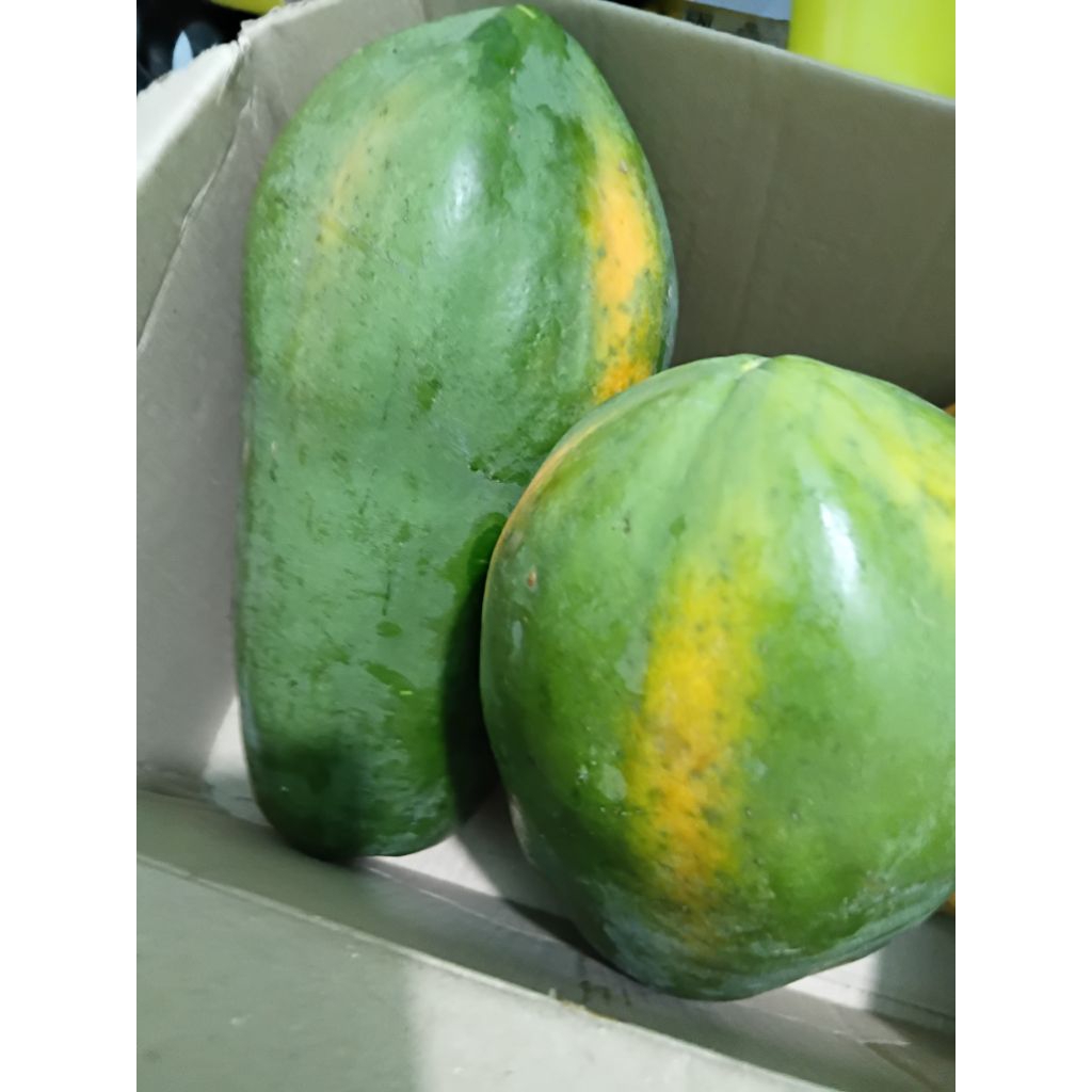 

pepaya california per biji
