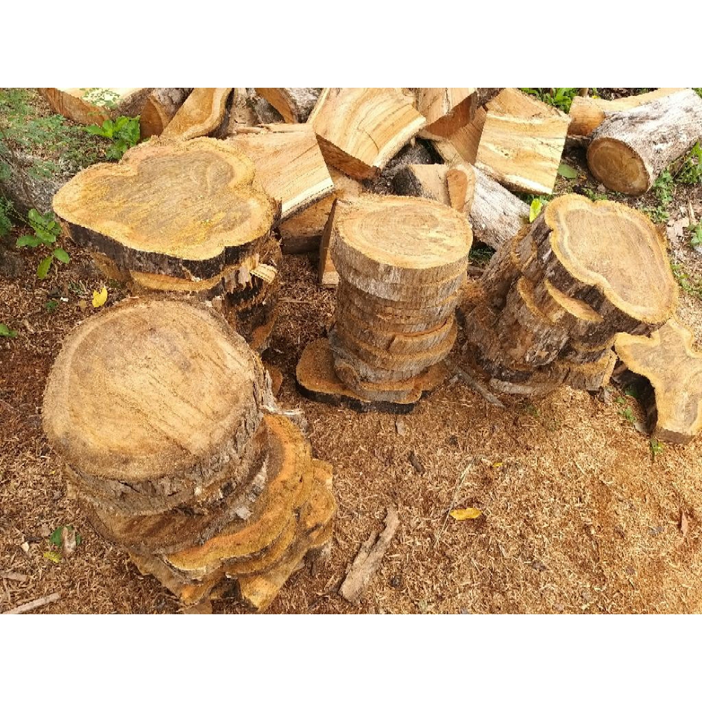 potongan Kayu Jati bulat / Telenan , L 25-28cm tebal 4-5 cm natural