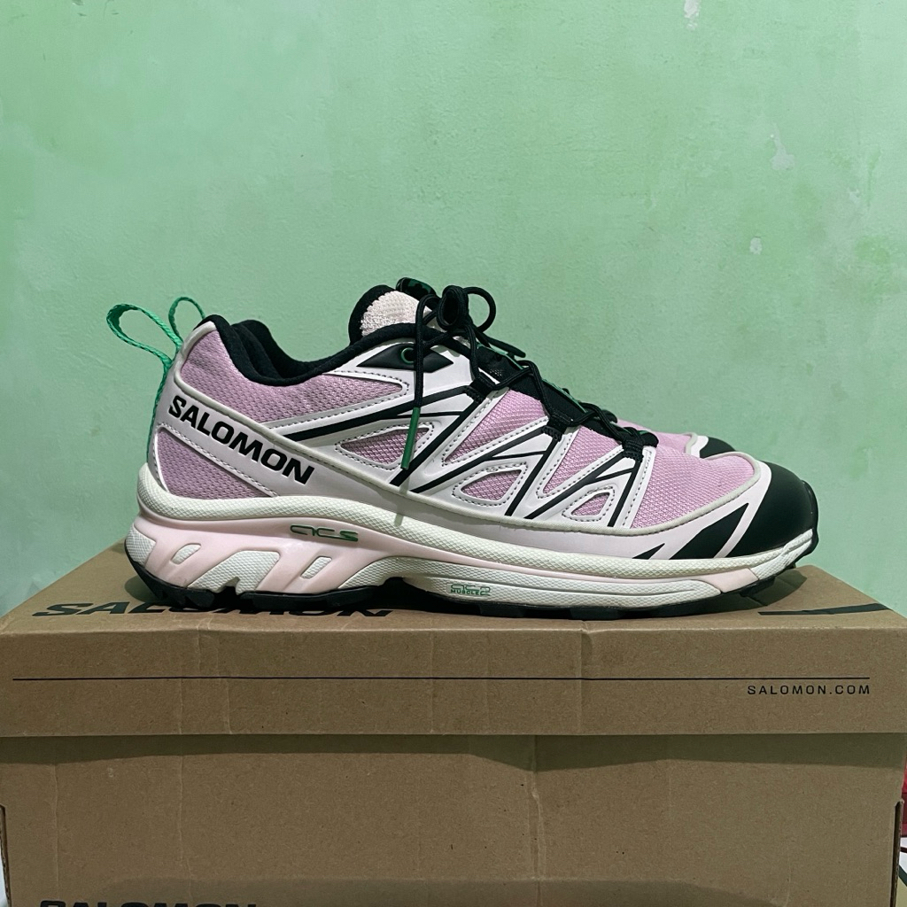 Salomon XT-6 Expanse x Sandy Liang