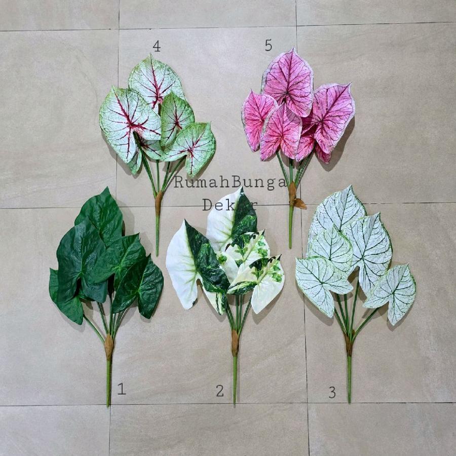Daun Keladi Group Latex Artificial Daun Caladium Artificial Latex ( Ada 5 Warna )