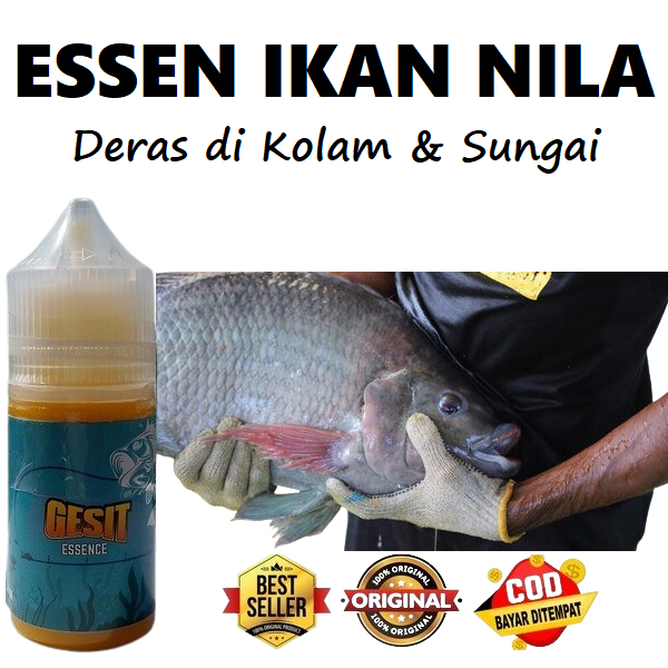 Essen Ikan Nila Paling Ampuh Strike Deras di Kolam & Sungai - Gesit Essence 30ml