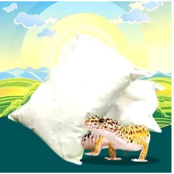 KALSIUM 100 - Kalsium Gecko Vitamin Gecko Penggemuk Gecko Kalsium Reptil Torto Tarantula HARGA TERMU