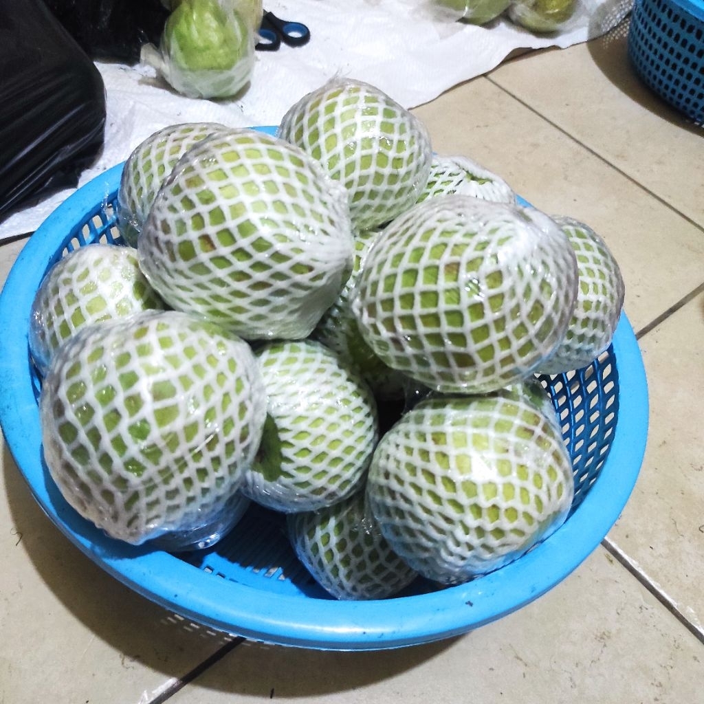 

Jambu Kristal 1 kg pake foam dan rapping