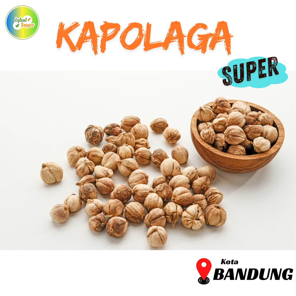 

Kapolaga / Kapol Super Bandung Pack