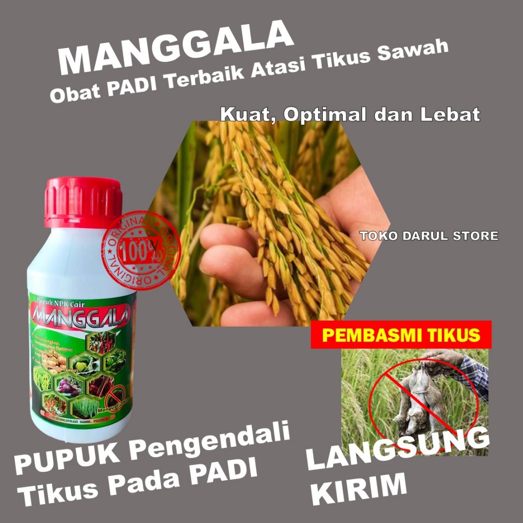 Pupuk MANGGALA 500ML | Pupuk Cair + Obat Hama Tikus AMPUH | Pupuk NPK Pembasmi Tikus Sawah & Kebun |