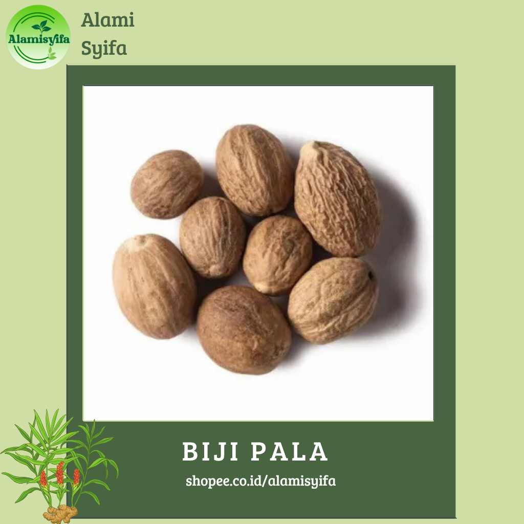 

Biji Pala Kering 100% Alami Pala Kering Berat 500 gram