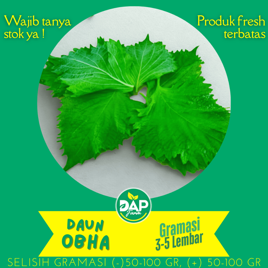 

Daun Obha / Shisho / DAP / Sayur Jakarta