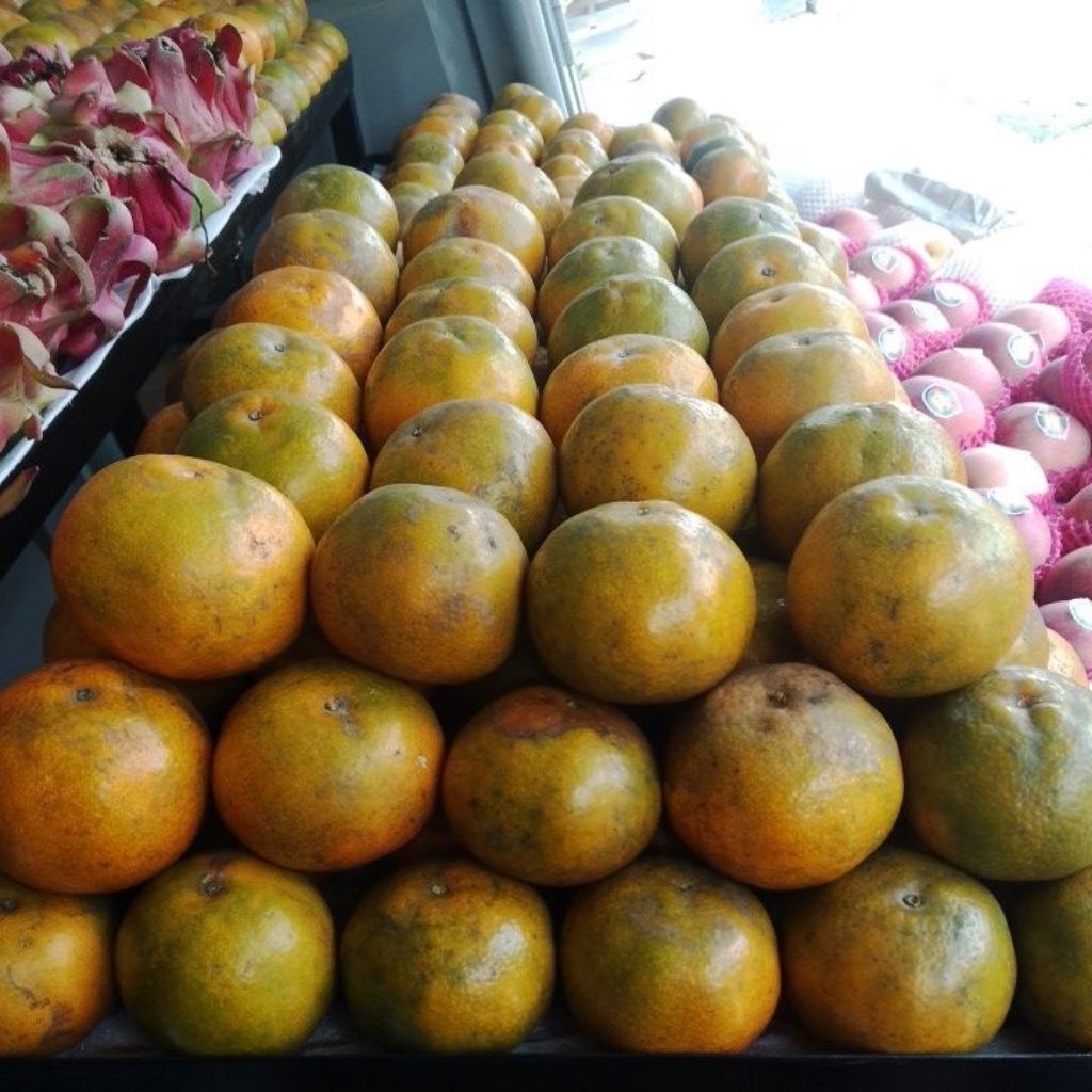 

Jeruk madu brastagi