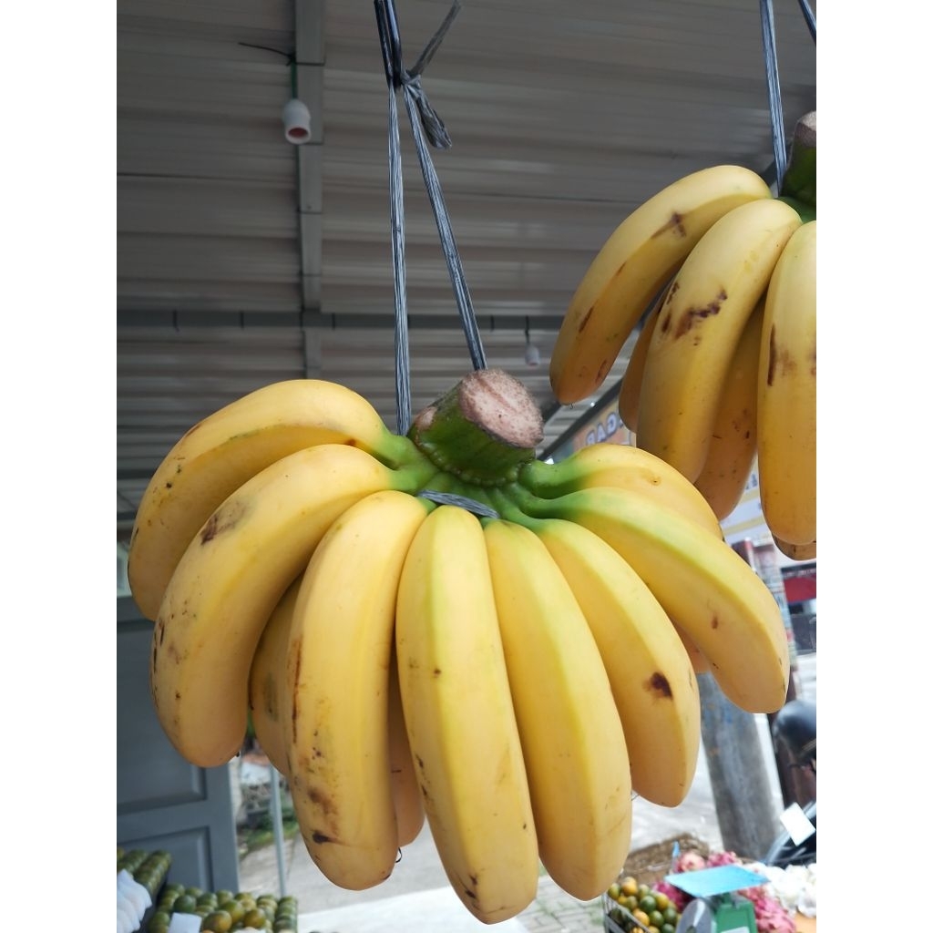 

Pisang barangan medan