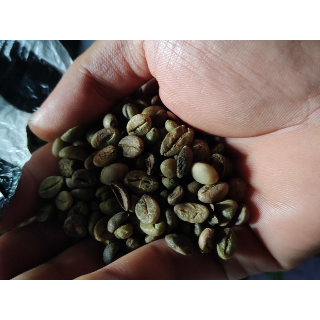 

kopi robusta grade b