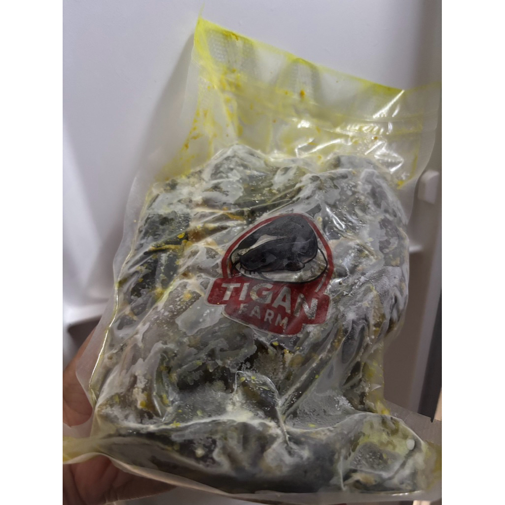 

Lele Marinasi dari TiganFarm