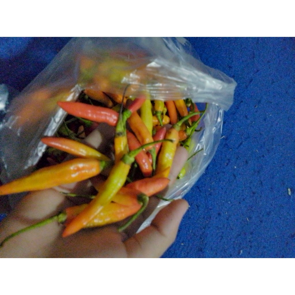

cabe rawit merah 500 grm