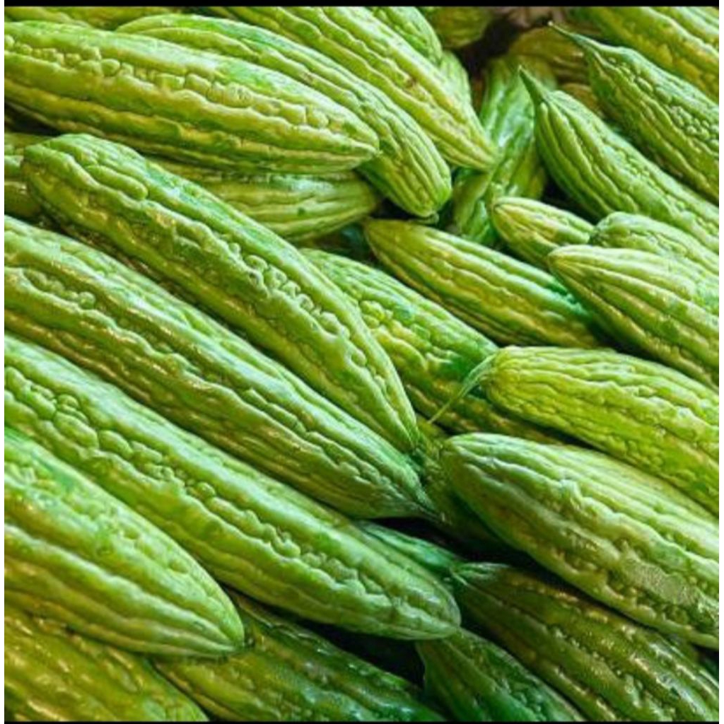 

sayur pare 500gram