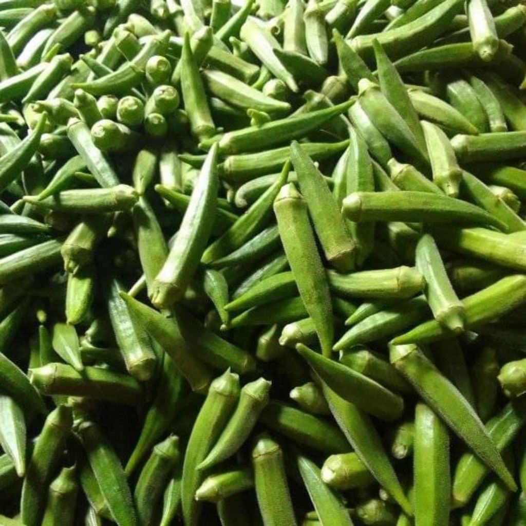 

Sayur okra fresh ready tiap hari