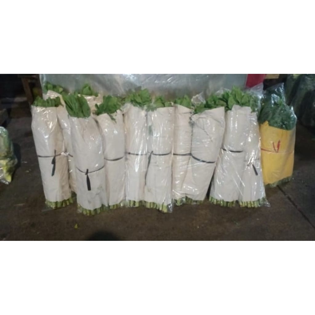 

SAYURAN FUMAK KUMAK per 500g