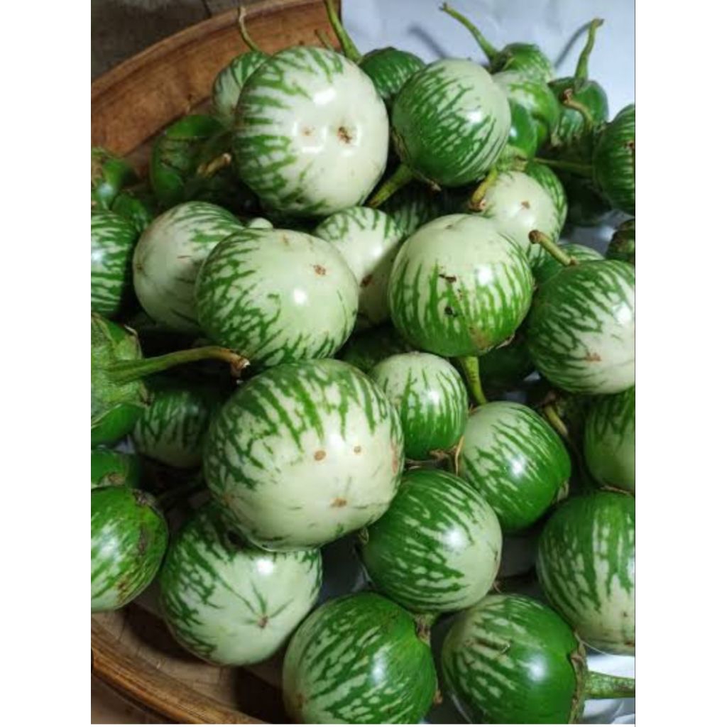 

terong bulat 500 gram bppn