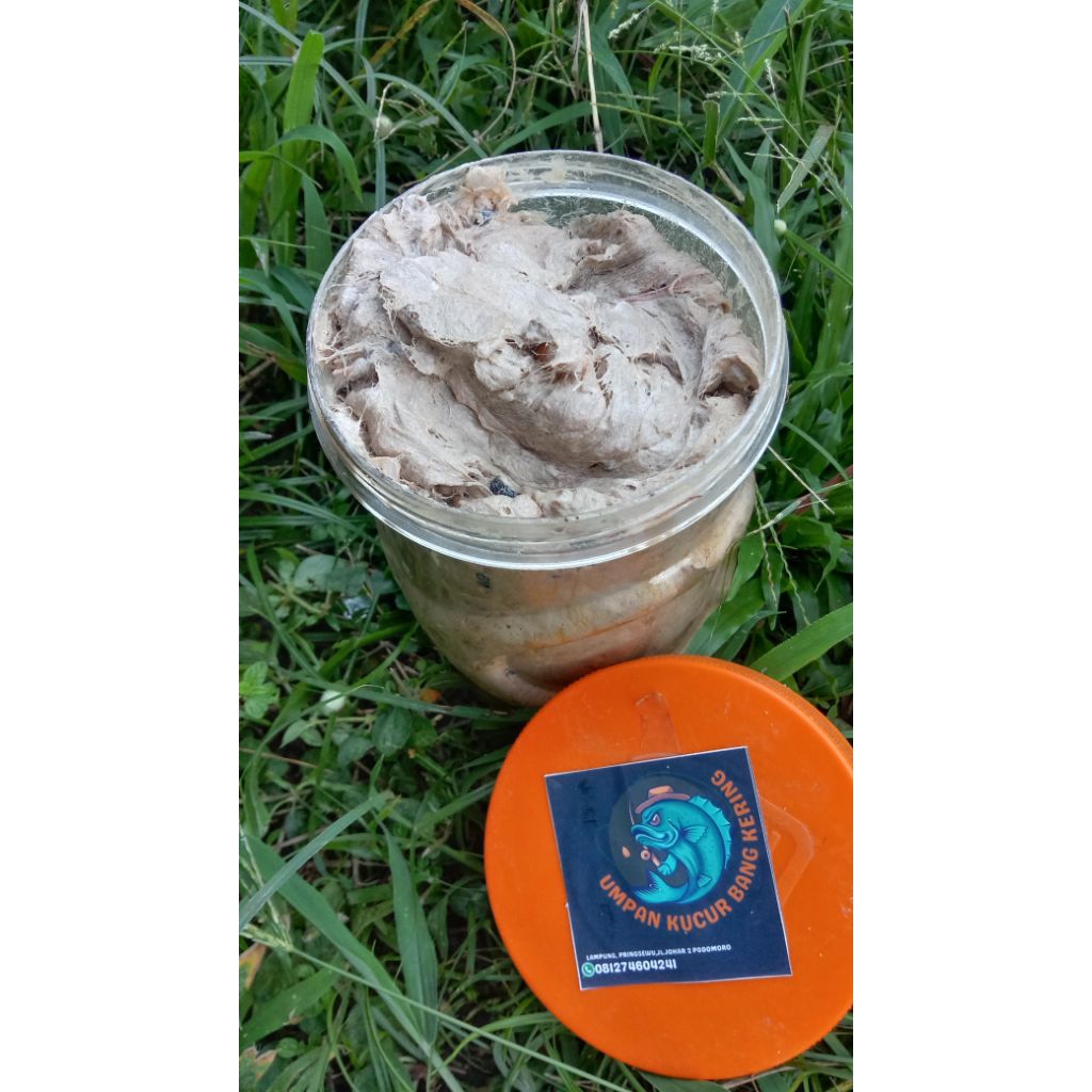 kucur umpan mancing ikan baung