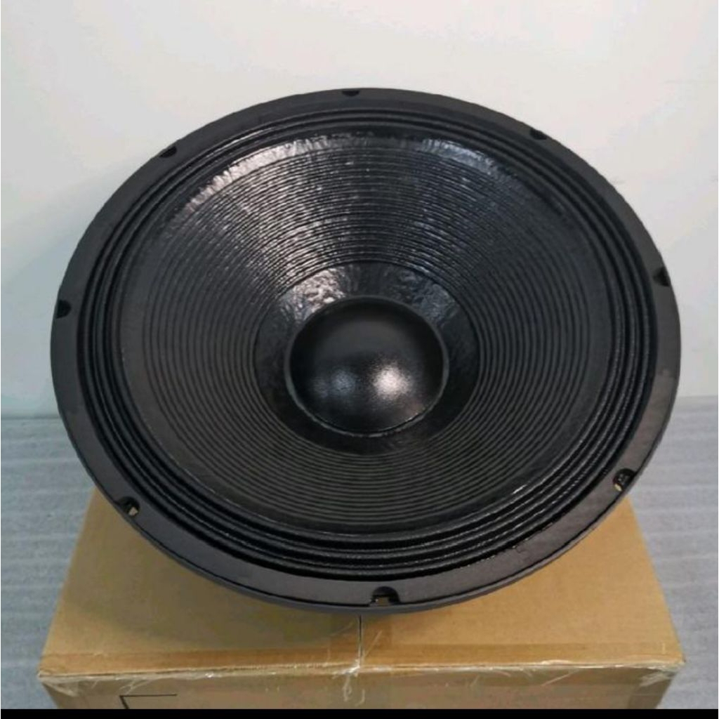 Speaker komponen B&C 18TBW100/18TBW100 18INCI Subwoofer B&C