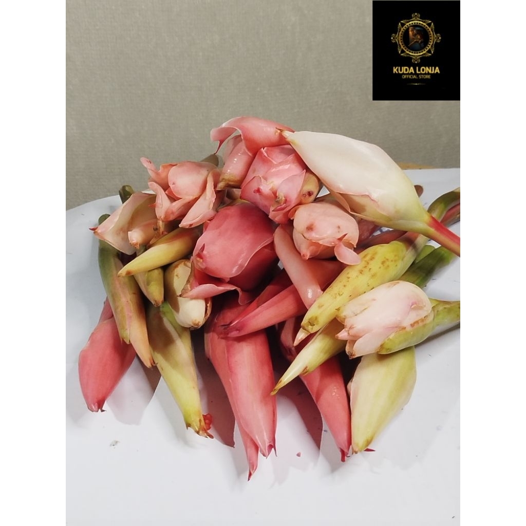 

Kincung / kecombrang / honje / kembang rias / kembang kecombrang / bunga kecombrang / bunga kecombrang segar / bunga kecombrang 1kg