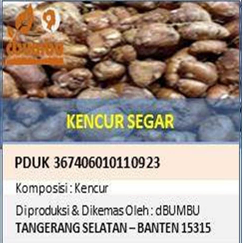 

Kencur Segar 1000 gram