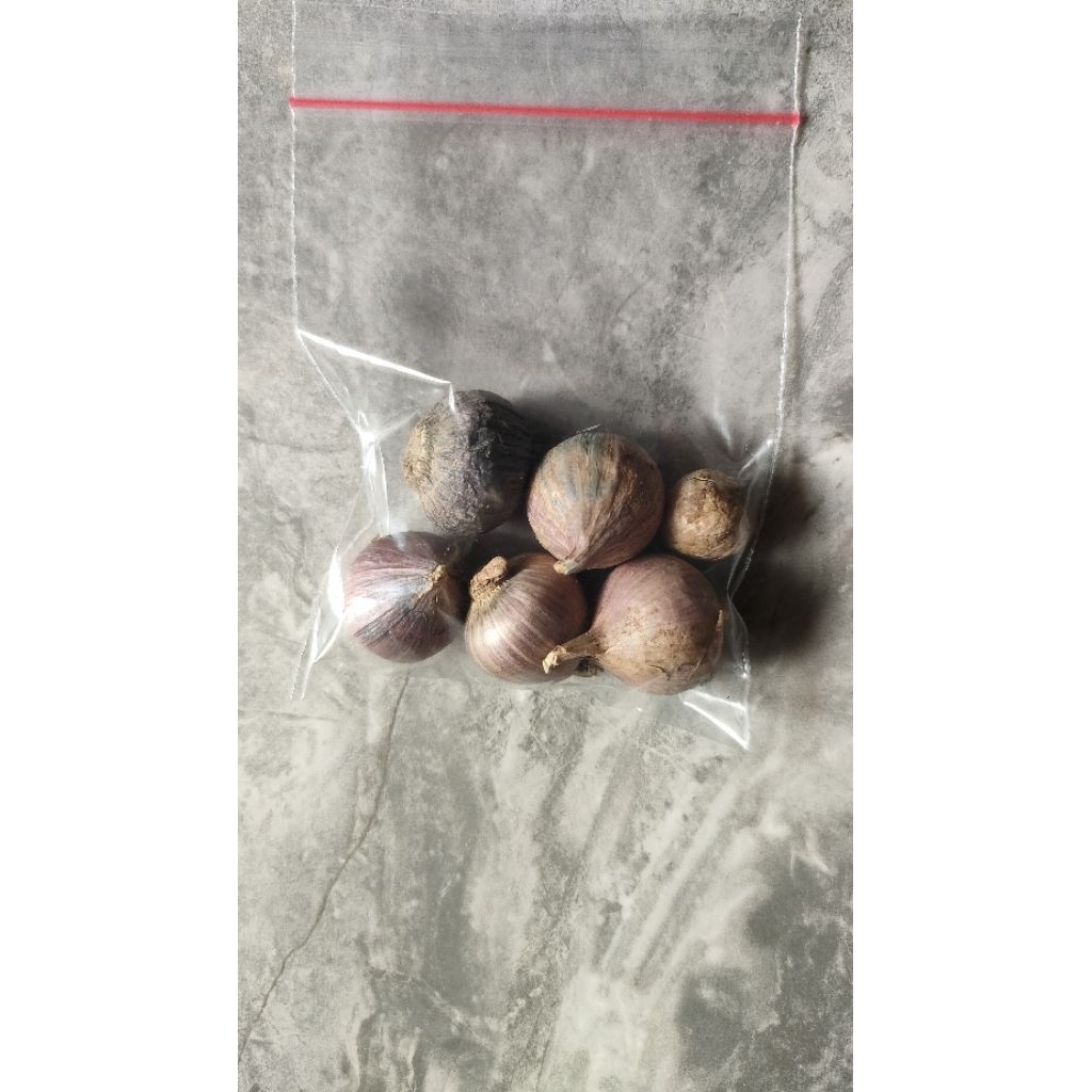 

Bawang Putih Lanang/Tunggal 5 biji, Stamina Pria