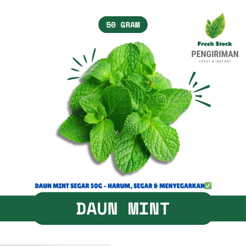 

DAUN MINT FRESH | FreshStock