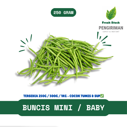 

BUNCIS MINI / BABY / UCET | FreshStock