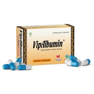 VipAlbumin Kapsul 30/box (Halal) - Ikan gabus