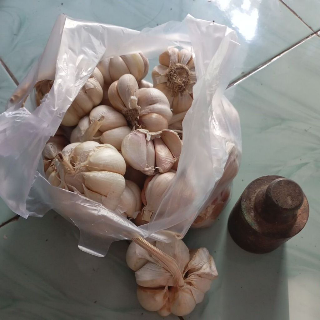 

bawang putih