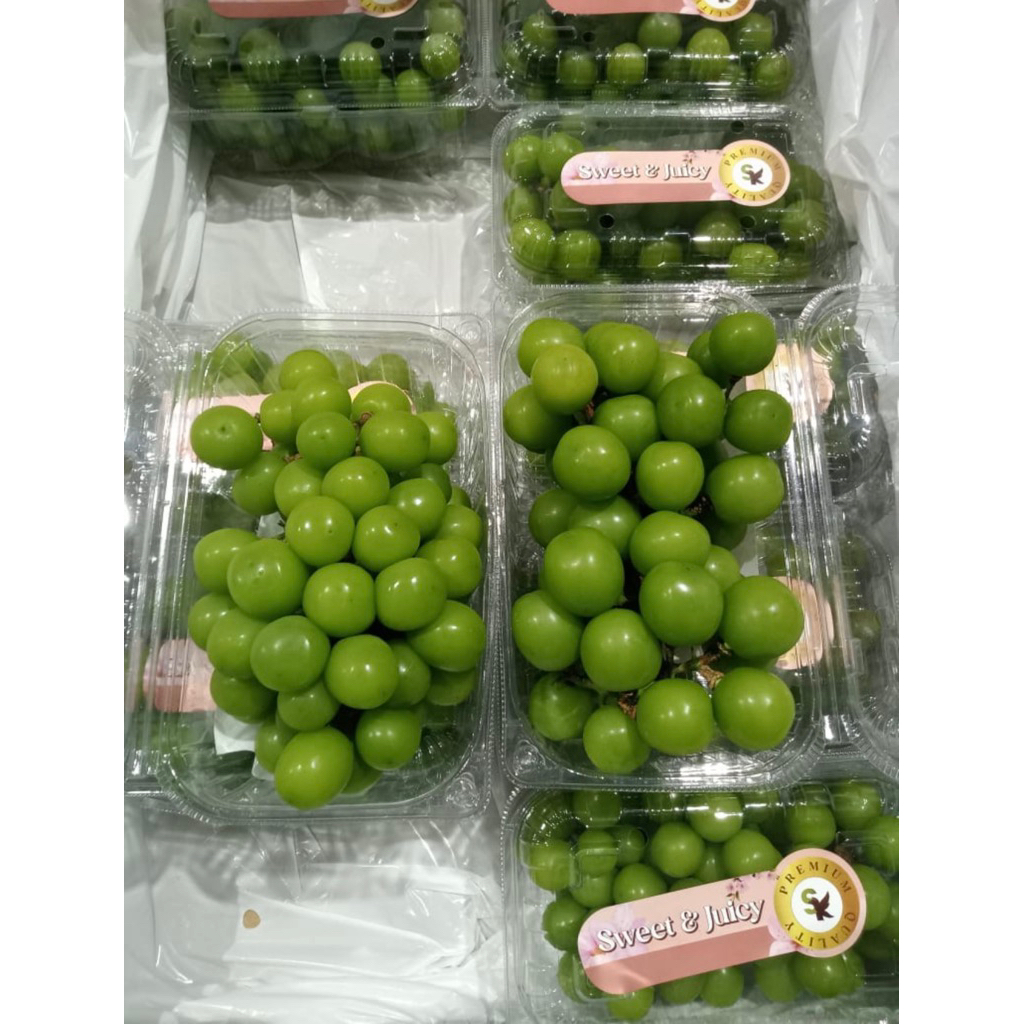 

ANGGUR SHINE MUSCAT PACK 500GR