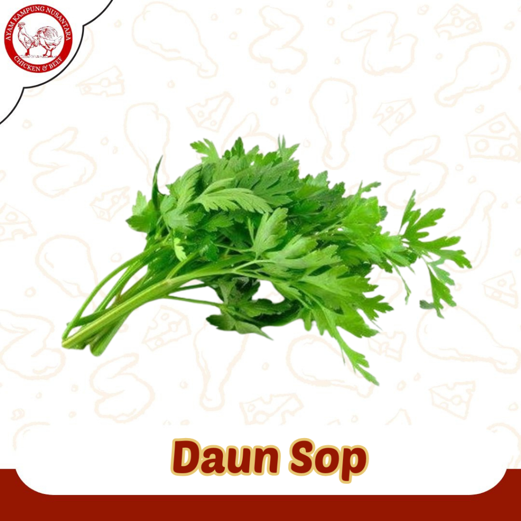 

Daun Sop / Daun Seledri Segar 100gr