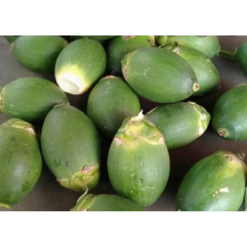 

pinang muda / 10 biji