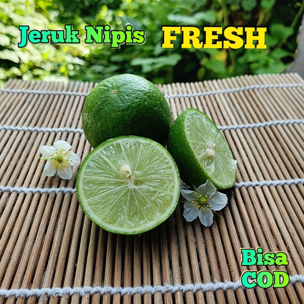 

Jeruk Nipis || Jeruk Pecel 500g Segar Fresh (Langsung di Petik Saat Mau di kemas)
