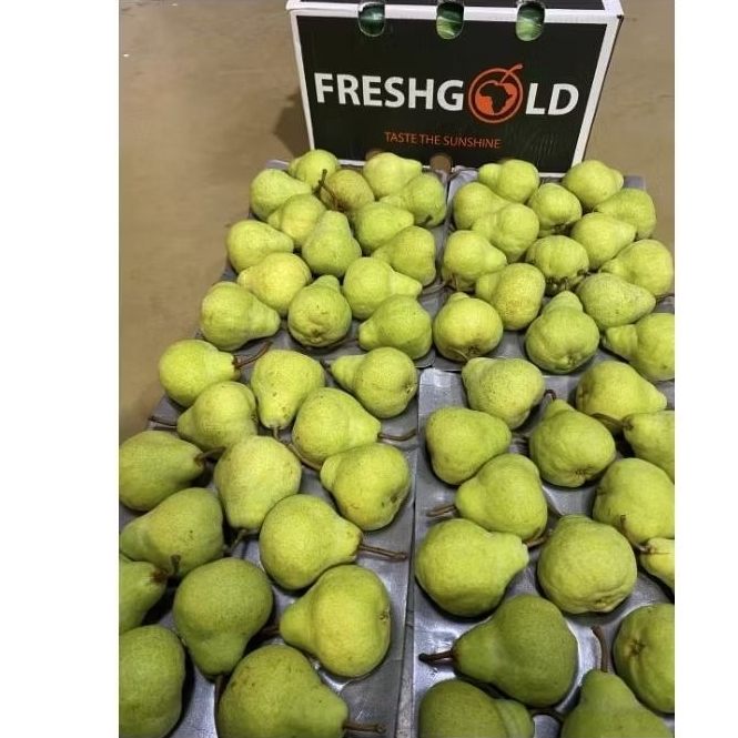 

pir packam murah berkualitas 900-1000g