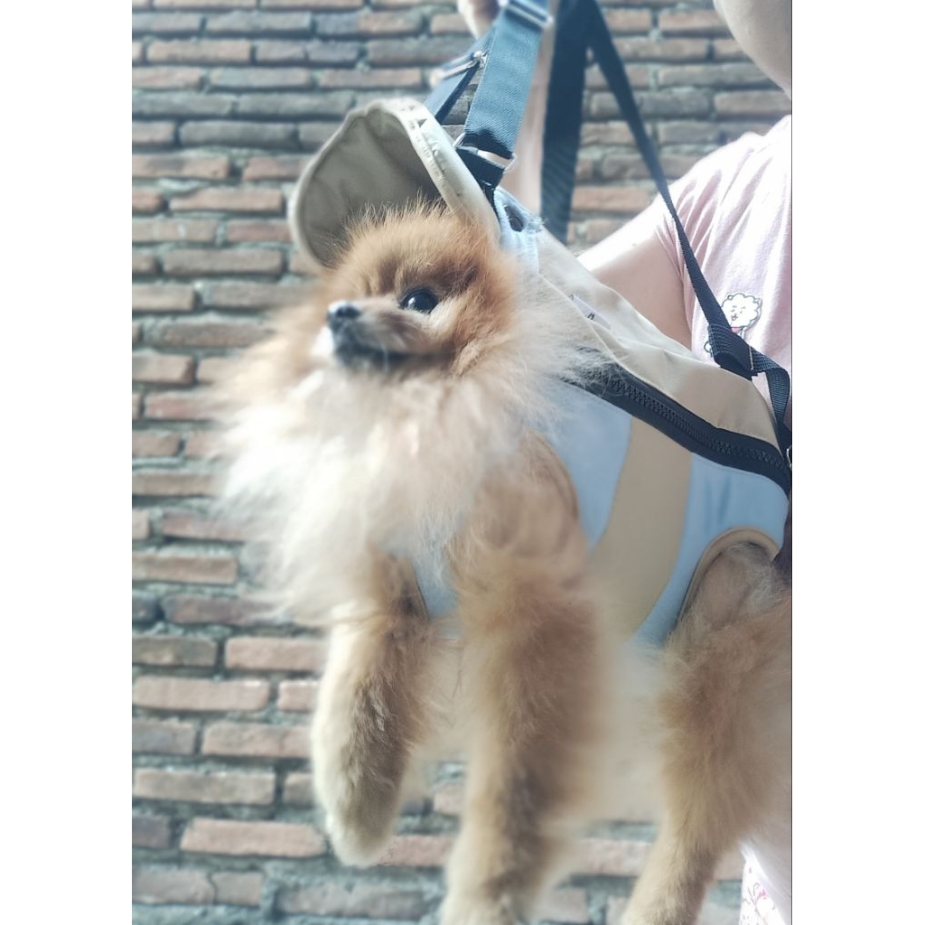 TAS GENDONG KUCING ANJING BARU / GENDONGAN KUCING ANJING DEPAN BELAKANG SAMPING