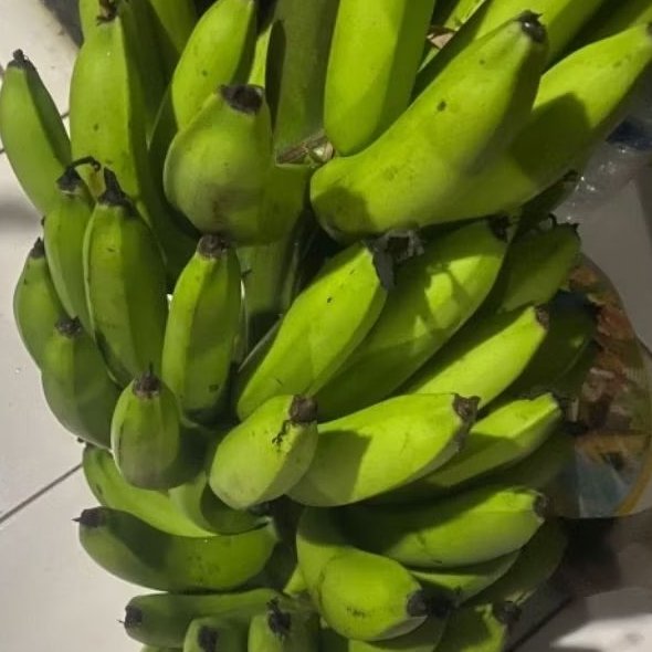 

Buah Pisang Mentah CNK MN Pisang Bangkaulu