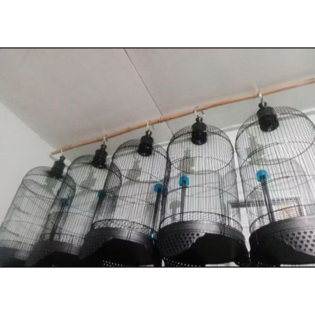 SANGKAR KANDANG KAPSUL LB BESI LOVE BIRD