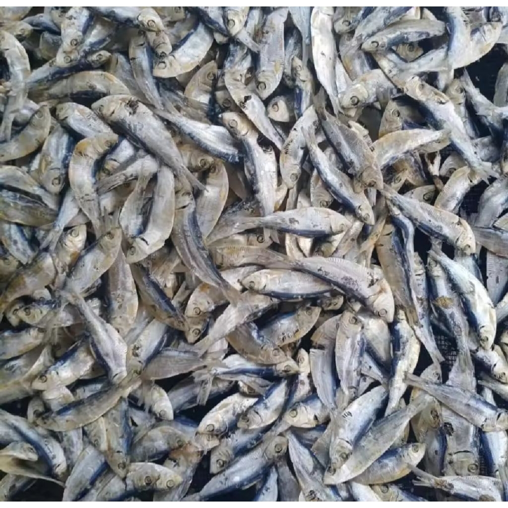 

ikan asin bilis murah kemasan 10rb