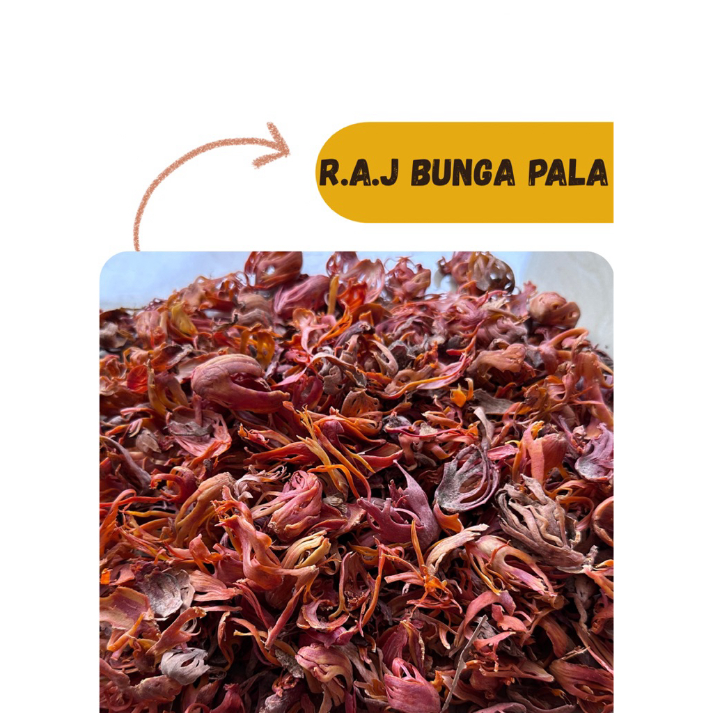

[ RAJ Rempah ] Bunga Pala 50gram dan 100gram Kembang Pala Sempra Mace Berkualitas bumbu dapur rempah wangi