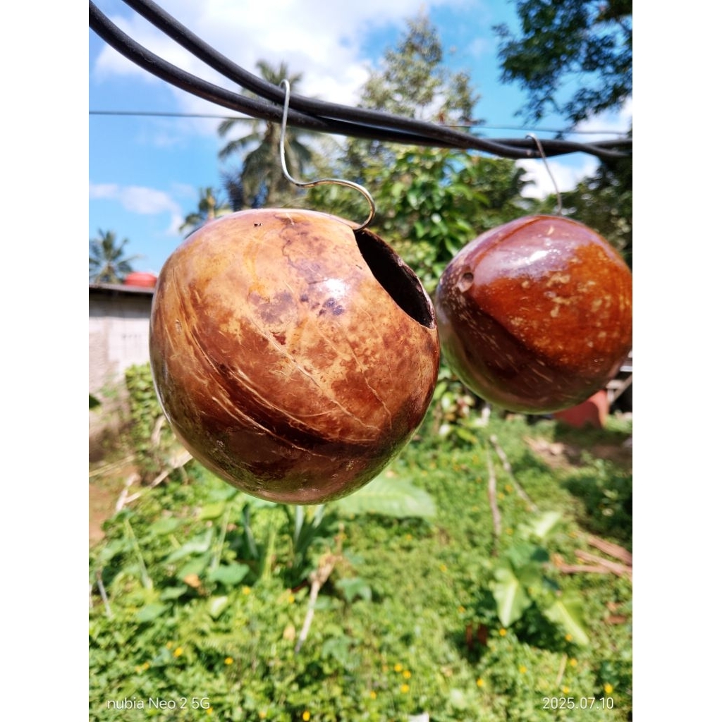 Bahan kerajinan prakarya tugas sekolah