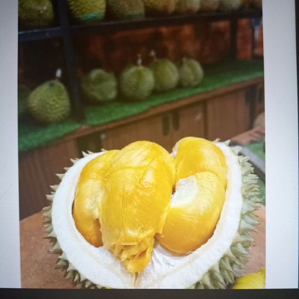 

Durian sultan blackthron fresh/ Durian duri hitam manis legit 2.5kg